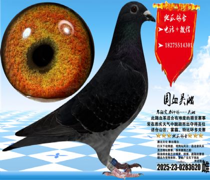 ʵս�������ֿݻ��۴ƣ����������ָ�һ��