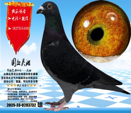 ���ֿݻ��ۣ���ֶ��Ѫ��ĸ�����繫�����195������������