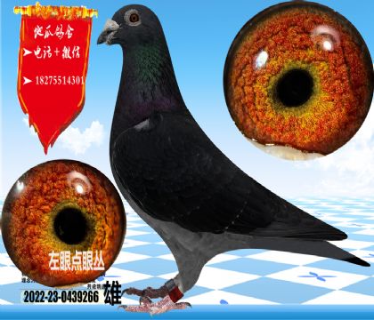 �������ֿݻ��ۣ���������ֱ�ӣ���ɳ���۵��۴ԣ������Ŵ����������������