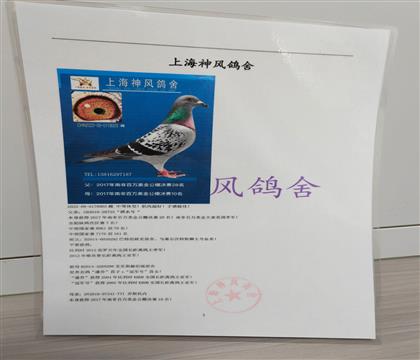 Ѫ�y(t��ng)��ԭ��