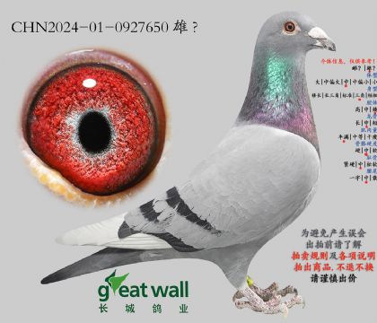 3.�S������901�O��.0927650