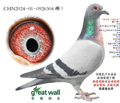 2.�_��(chu��ng)������106���Ӵ�.0926304