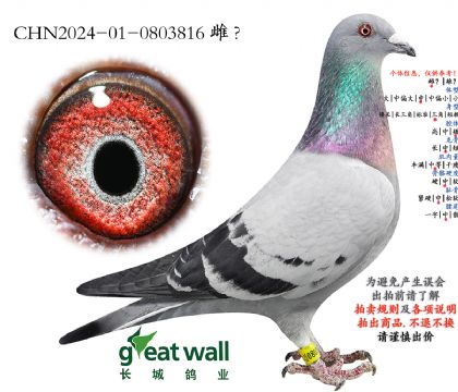 5.�¸��׵�x��?sh��)�x����.0803816