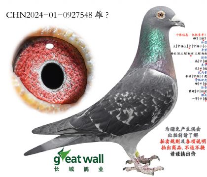 6.ŭ��x�D��˹.0927548