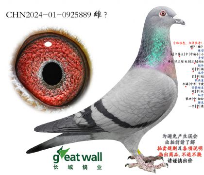 7.ñ�ӑ򷨌O��.0925889