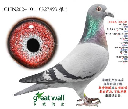 10.����Ѫϵ.0927493