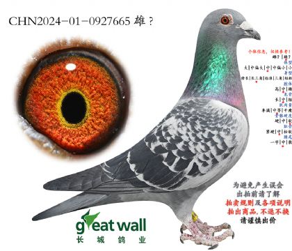 8.�����rС��ȫ�܌O��.0927665