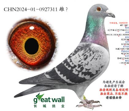 11.�����˹�O��.0927311