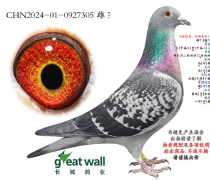 16.�w�m��˹x�¸��׵�.0927305