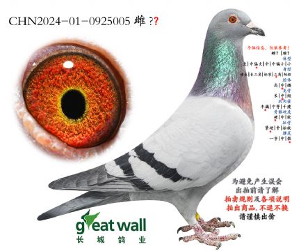 15.��?sh��)Ͻ�Ѫ�O��.0925005