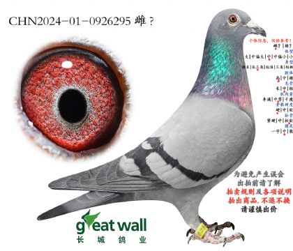 17.�D��˹004�O��.0926295