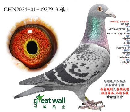 20.�D��˹����O��.0927913