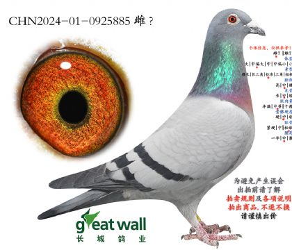 2.ñ�ӑ򷨌O��.0925885