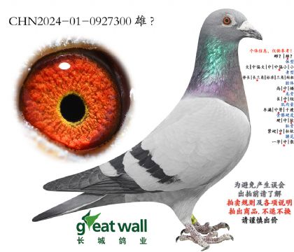 3.����x�S������.0927300