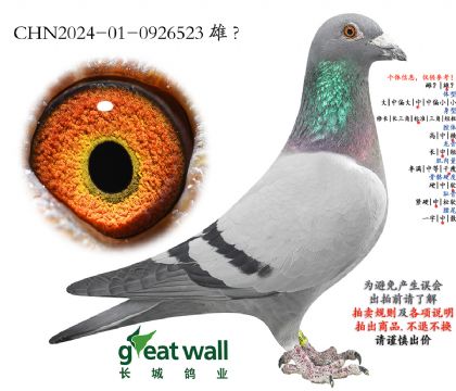 5.����Ѫϵ.0926523