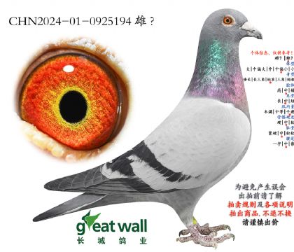 6.׿���վِ24�Ӵ�.0925194