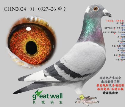 8.�¶�x��(d��ng)�н�ķ.0927426