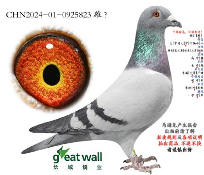 7.��Դ�A(y��)ِ20��ƽ݅.0925823