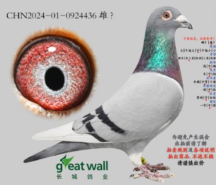 9.�m������x�_�Ơ�.0924436