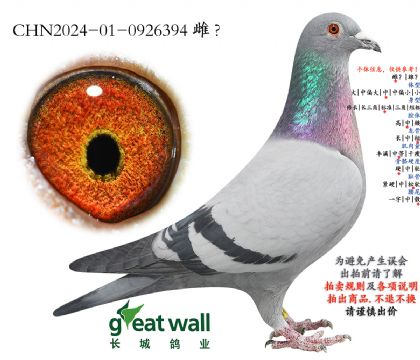 10.����Ѫϵ.0926394