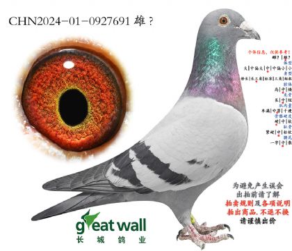 11.���J�u���P(gu��n)24ƽ݅.0927691