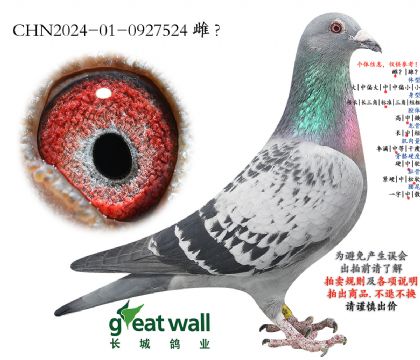 12.�҉�O��.0927524