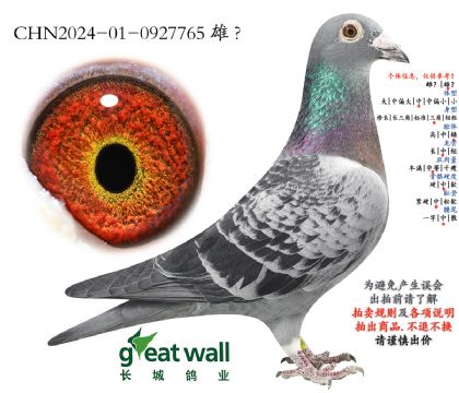 13.�¿����ˌO��.0927765