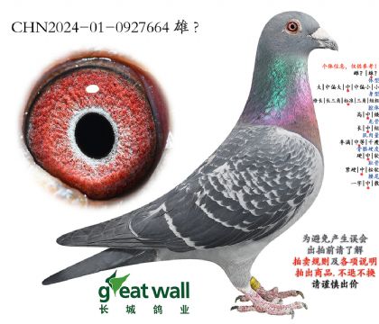 15.���P(gu��n)������܊�����Ӵ�.0927664