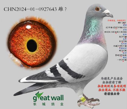 18.�¿����ˌO��.0927643