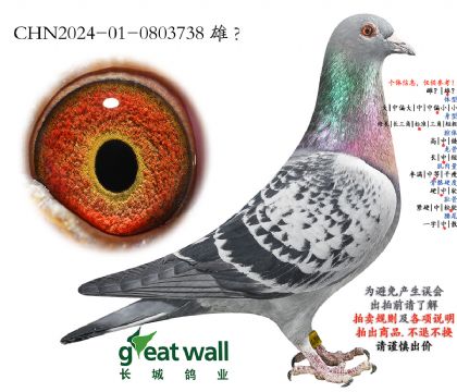 17.��ѻ��ؠ���Ѫ.0803738