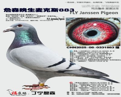 詹森麥克斯回血