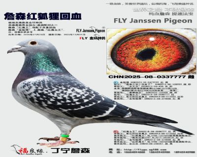 經(jīng)典小雌-詹森紅魔王母配子多重回血