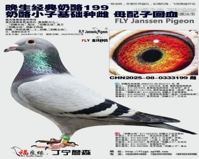 奶酪小子基礎種雌 母配子回血