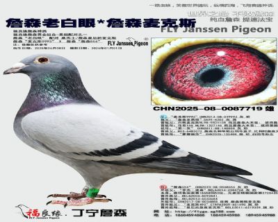 詹森老白眼/詹森麥克斯