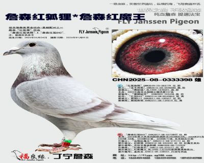 詹森紅狐貍/詹森紅魔王