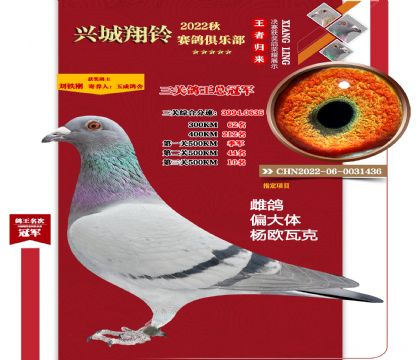 22���＾���P(gu��n)��������܊���رȭh(hu��n)��܊