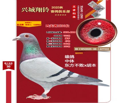 500�������P(gu��n)��܊�����P(gu��n)����30λ