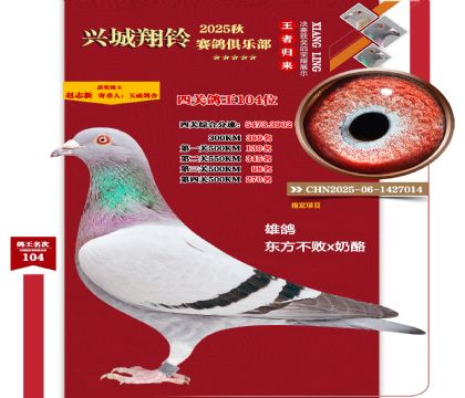 25���＾���P(gu��n)����104λ