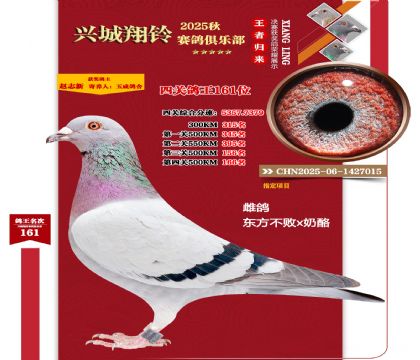 25���＾���P(gu��n)����161λ