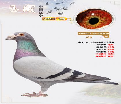 ���P(gu��n)������܊�����P(gu��n)������܊��������