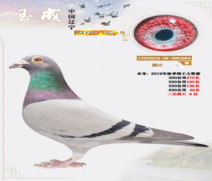 19���＾���P(gu��n)����6λ���w�ȣ�