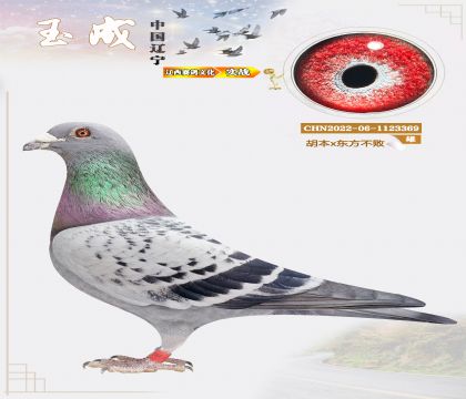 2022�������N�����|������x������