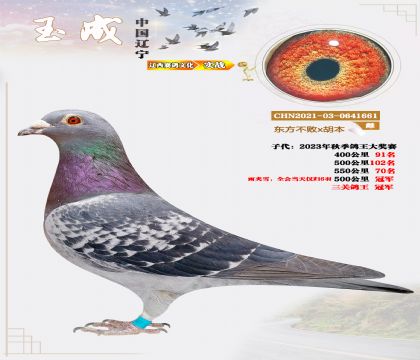 �|������x����������500�����܊�����P(gu��n)������܊��