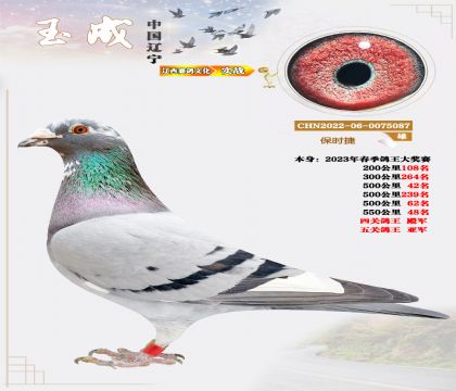 ���P(gu��n)������܊�����P(gu��n)������܊�����r�ݣ�