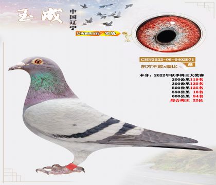 2022��C������22λ���|������x�w�ȣ�