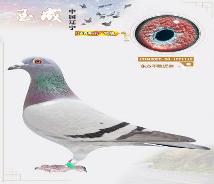 �����N�����|���������H)