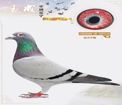 �����N�����|��������