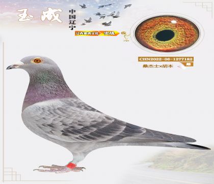 �����N����ɣ��ʿx������