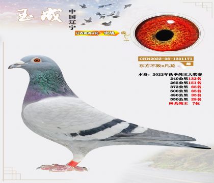 22���＾���P(gu��n)����7λ���|������x������