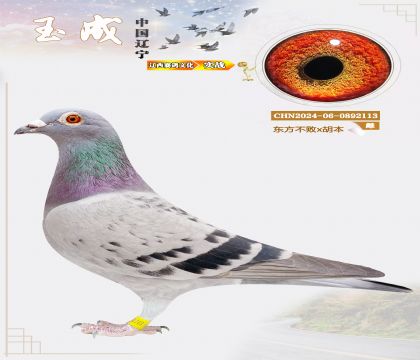 �����N�����|������x������